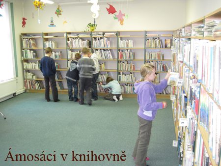 knihovna (7)